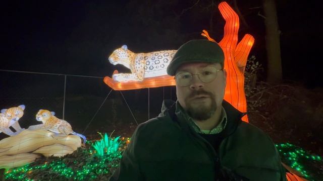 Safaripark Beekse Bergen’s Light Safari Near Efteling!