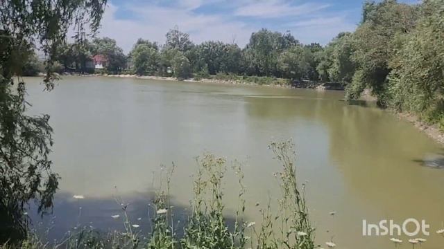 Участки под загородную недвижимость. Строительство дома и коттеджа.#купитьдомванапе #купитьдомнаюге смотреть онлайн
