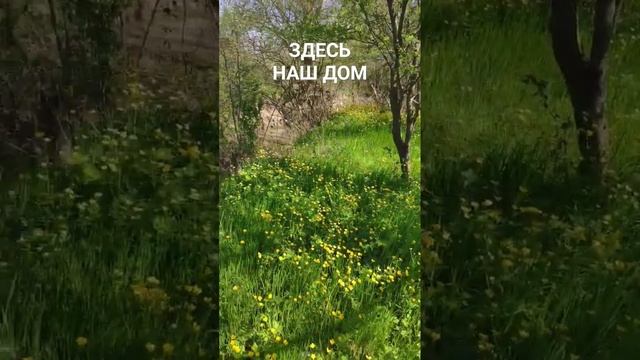 Раевская. Между Анапой и Новороссийском. 8 апреля 2024 года смотреть онлайн