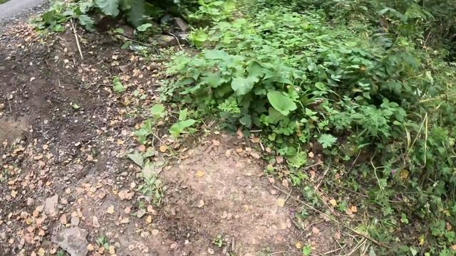 Дупло Кикиморы от ENDURO DMD смотреть онлайн