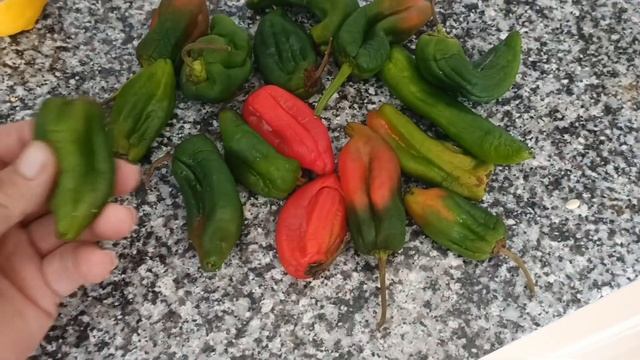 СОСЕДКУ ВСЕ ТАКИ БУДУТ ВЫСЕЛЯТЬ../ВСЕ ВЫБРАСЫВАЮ🤦/КРЫЛЫШКИ в СОУСУ БАРБЕКЮ🤤/ВЛОГ с ИСПАНИИ смотреть онлайн