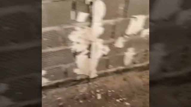 Ремонт квартир и домов Альметьевск смотреть онлайн