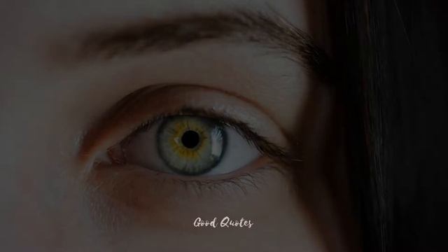 Eyes Quotes Celebrating The Windows Of The Soul смотреть онлайн