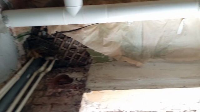Потолок рушится, а мы делаем стены. смотреть онлайн