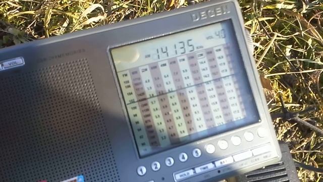 Полевой день смотреть онлайн