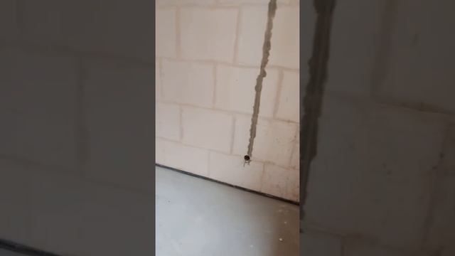Продаётся 2-х комнатная квартира в ЖК " МЖК-Парк" с видом на Бокинские пруды. смотреть онлайн