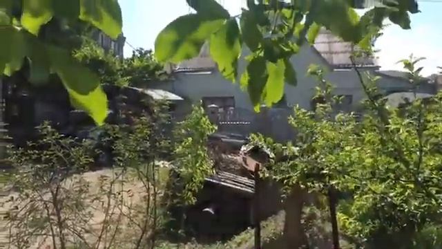 Крымская солидарность was live. смотреть онлайн