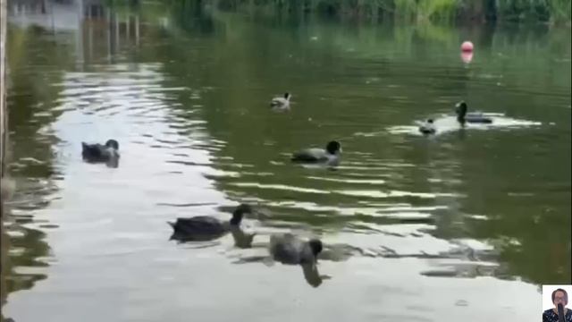 получили по заслугам.