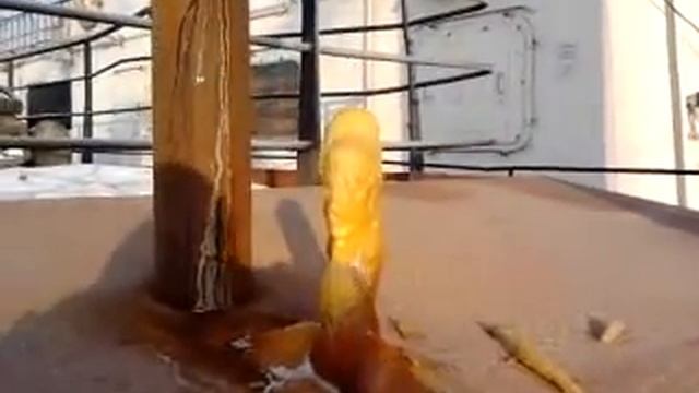 В Санкт Петербурге холодно. смотреть онлайн