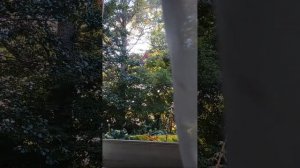 Америка в письмах is live!