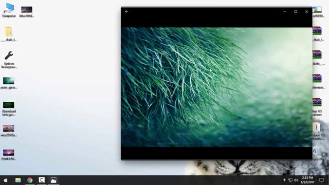Mac OS Dark Leopard theme for Windows 10 Visual Style смотреть онлайн