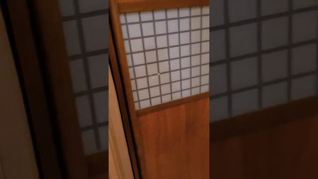 2 -х комнатная квартира в аренду в Москве на Ленинском просректе смотреть онлайн