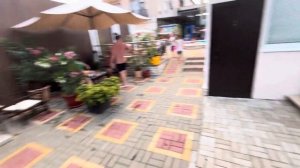 Обзор отеля Бригантина 2 Дивноморское