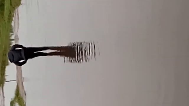 Екатеринославка после дождя смотреть онлайн