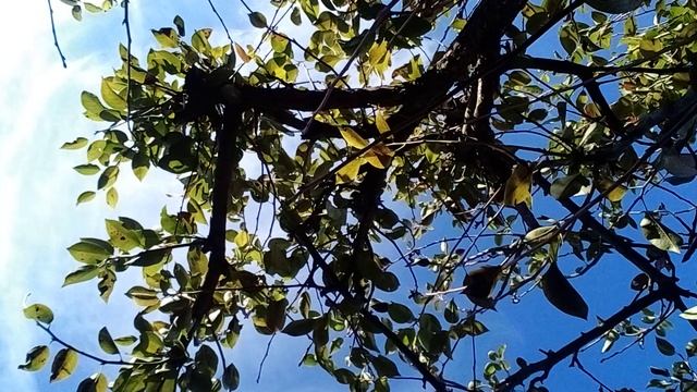20241027_122709.mp4 смотреть онлайн