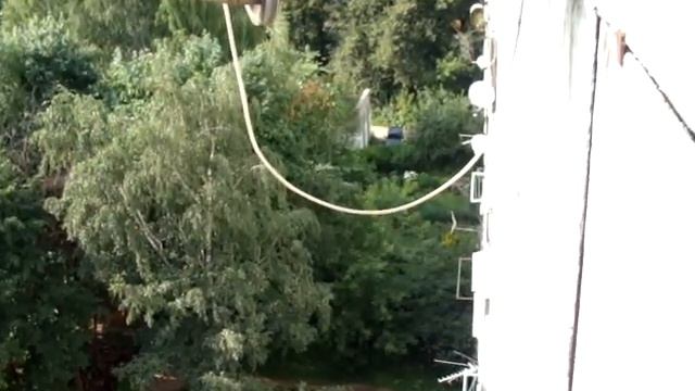 Пушкино. Вид на запад. смотреть онлайн