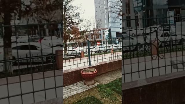 #estate я#проявите #активность #строительство #real смотреть онлайн