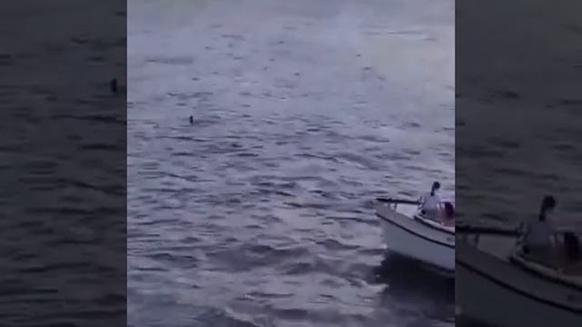 В Санкт-Петербурге парень прыгнул с моста в реку с фаером. Видео очевидцев смотреть онлайн
