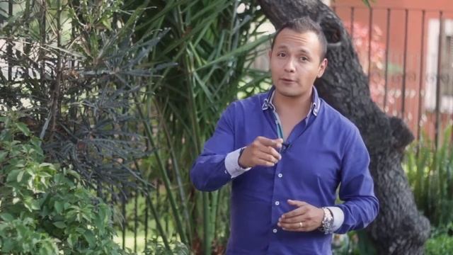 Emprende y ve: Paradigma смотреть онлайн