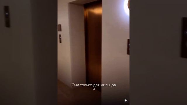 Обзор квартиры за 50 000 000 в Дубае #бизнес смотреть онлайн