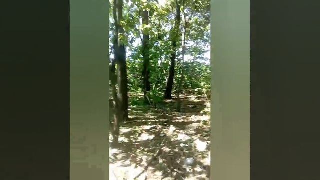 большие гнёзда а М.Березниках. смотреть онлайн