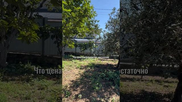 Продается участок в Сириусе #купитьземлювсочи #домвсочи #загороднаянедвижимость #переездвсочи смотреть онлайн