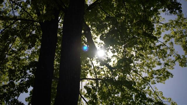 ЖК «Северный порт» от Legenda. Так ли он хорош? смотреть онлайн