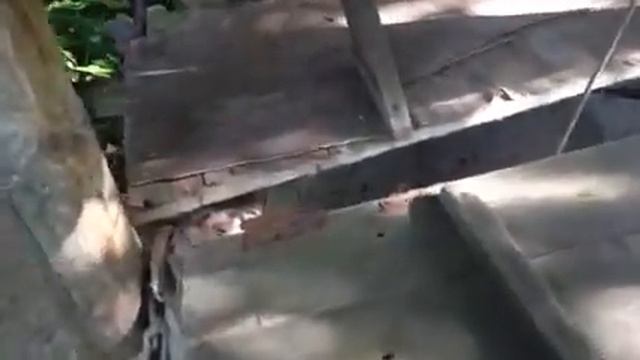 Поселок Кокошкино. смотреть онлайн