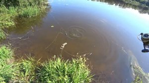 На Этой ДИСТАНЦИИ Вся Рыба Клюёт! Кормушки ОКА XL тест на ЛЕЩА! Рыбалка на Донки с Берега!