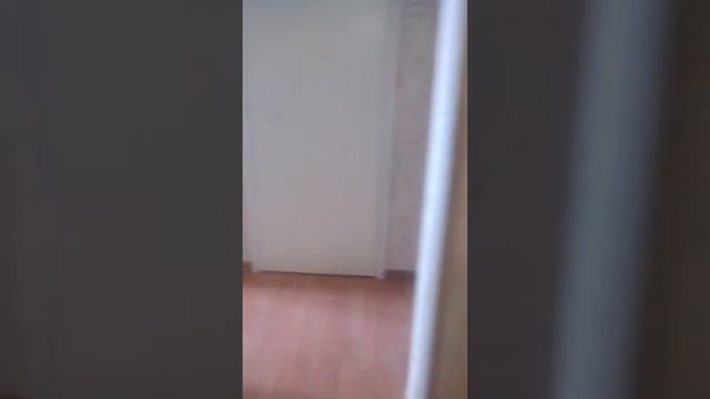 Ремонт квартир краскова смотреть онлайн