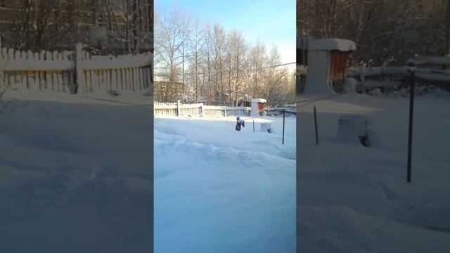 ч40 смотреть онлайн