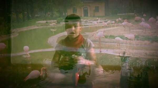 Обзор, Лего Остров тюрьма