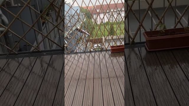 Heavy Rain @ Herzogenaurach #rain #rainyday #rainsounds #rainy #rainyweather смотреть онлайн