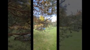 Продам ЖИЛОЙ ДОМ-БАНЮ  с земельным участком  д. Даймище, Гатчинский р-н, Ленинградской области.