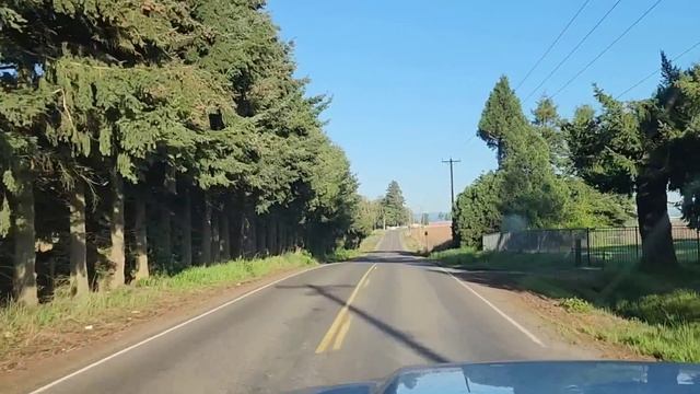 завезли пчел Захару смотреть онлайн