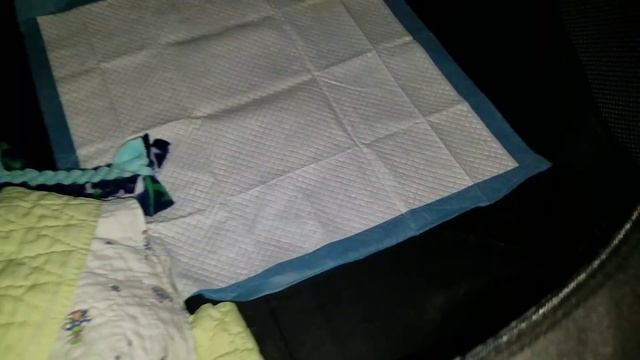 That Spade Girl Reviews: X-Zone Pet Portable Playpen смотреть онлайн