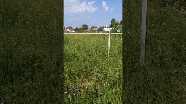 Участок в Дьяконово. смотреть онлайн