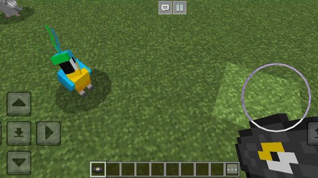 Попугайчики танцуют в Майнкрафте❤️🦜 смотреть онлайн