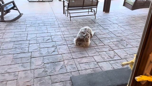 РАССТАЕМСЯ С ДОМОМ, В КОТОРОМ ПРОЖИЛИ 2 ГОДА! смотреть онлайн