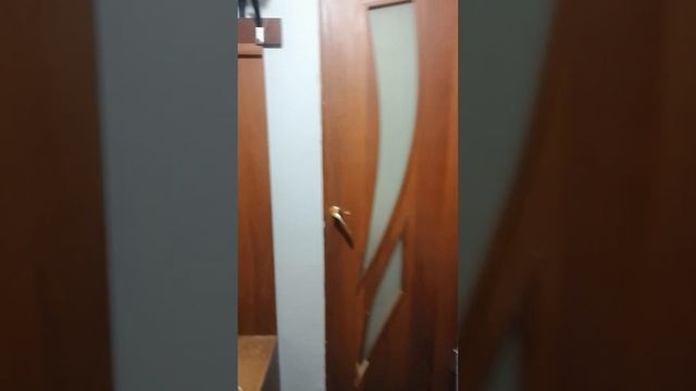 1к.кв С. Устинова 11, 2/9к. Аренда. Упак. В. Новгород смотреть онлайн