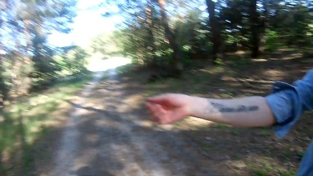 Тут медведи злоеб...учие!!Заблудились в лесу! смотреть онлайн