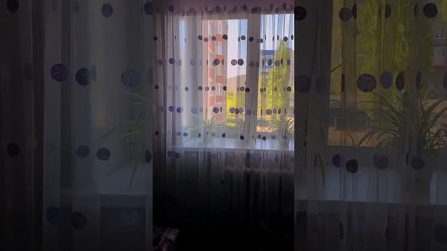 Квартира для Вашей семьи в Воронеже 🤍 смотреть онлайн