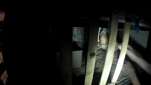 Овоскопирование яиц вручную. Без овоскопа смотреть онлайн
