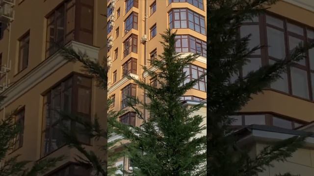 Сочи, Донская, статус "квартира" #сочи #апартаменты #квартира #купить #недвижимость #море смотреть онлайн