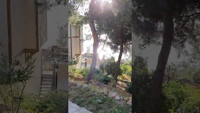 UTOPIA World Hotel Турция Аланья