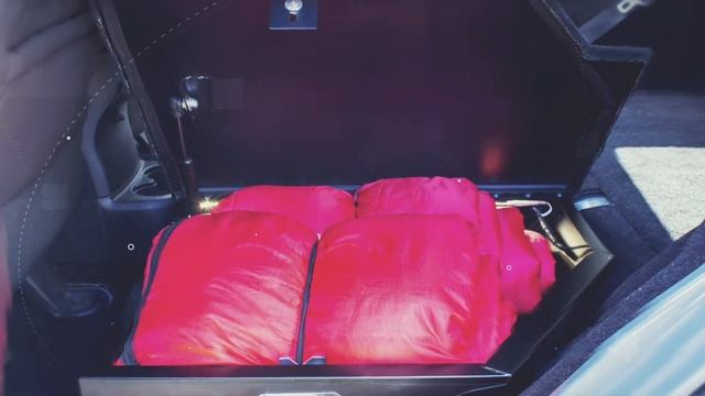 Cargo Dog Management Systems смотреть онлайн