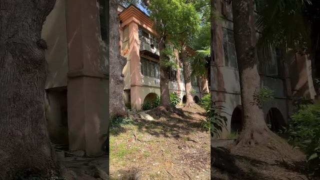 Дома в Центре Сочи, я шокирован! #travel #sea #sochi I