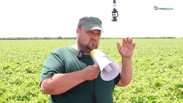 День поля в КФХ Юзефов Н.Н. | Сорта картофеля для юга смотреть онлайн