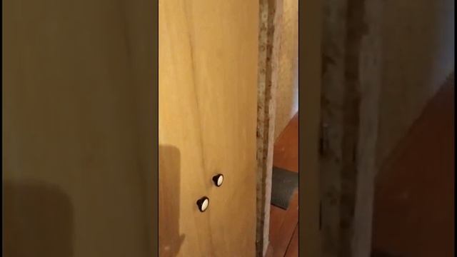 Королев Комитетский лес 3 смотреть онлайн