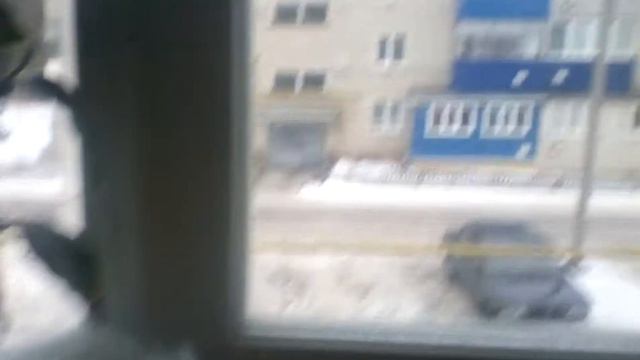 Квартира бабушки смотреть онлайн